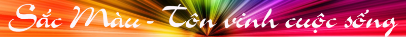 Giấy dán tường Hàn Quốc - Giấy dán tường Selection